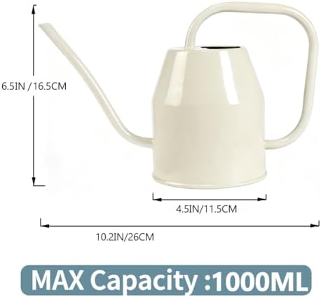 35 oz/1000 ml Metal Indoor Small Watering Can with Long Spout for House Plants Decorative, 12 oz/360 ml Glass Plant Mister Spray Bottle for Bonsai Garden Flowers