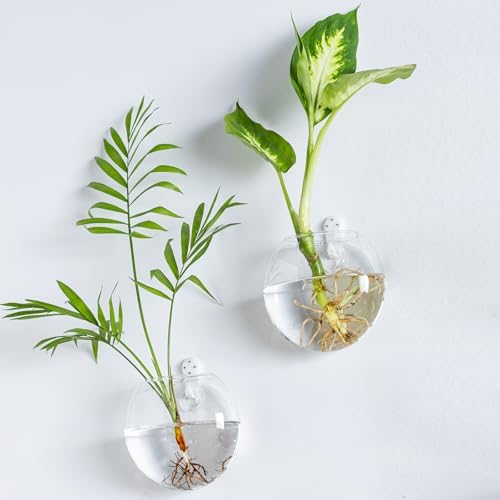 Wall Mount Plant Propagation Station - Clear Hydroponic Glass Vase, Oblate Planter for Indoor Plants | Perfect for Home, Office, Bathroom Decor | Gift for Plant Lovers (4)