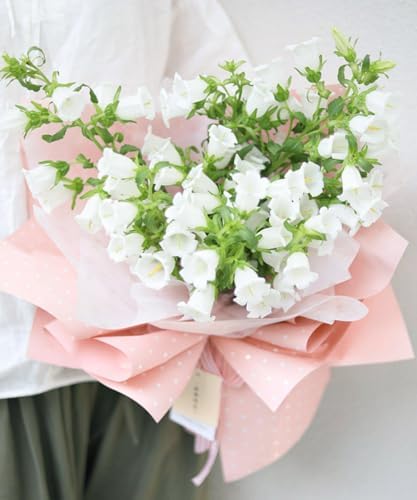 WRAPAHOLIC 20 Sheets Flower Wrapping Paper - 22.4 x 22.4 inch Pink and White Polka Dots Water-Resistant Floral Bouquet Wrapping Paper, Florist Supplies Packaging for Wedding Birthday Gift DIY