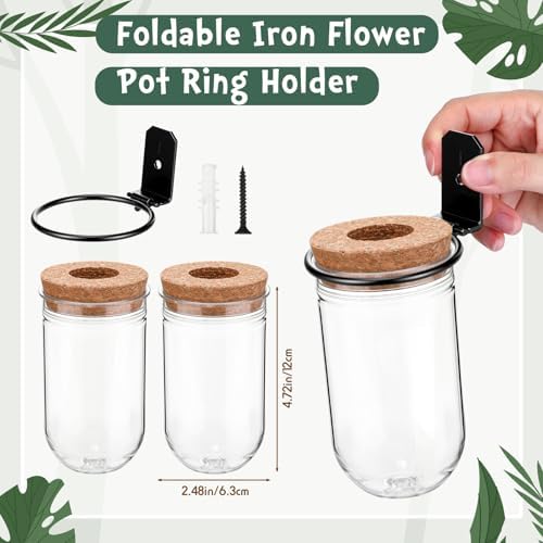 Baderke 6 Set Wall Plant Holder with Plastic Propagation Vases Hanging Planter Wall Mounted Set for Plants Growing in Water Hydroponic Artificial Plants Indoor Decor (2.48" X 4.72",Test Tube)