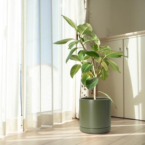 D'vine Dev 10 Inch Ceramic Planter Pot, Olive, 94-O-E-J