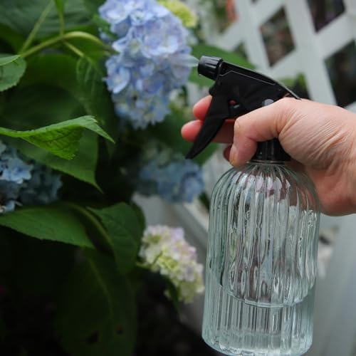 Watering Can for Indoor Plants, Silver Stainless Steel Watering Can 2 Pack