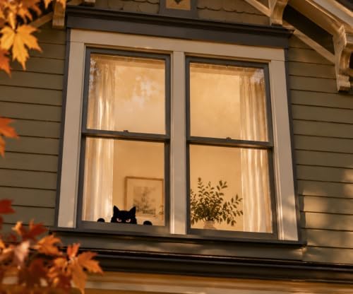 Home Decor Peeking Black Cat Signs Window Decorations