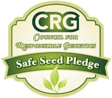 Bulk Non GMO Arugula Seeds (1/2 lb) 82,500 Seeds - Heirloom, Open Pollinated - Fortified with Mycorrhizae