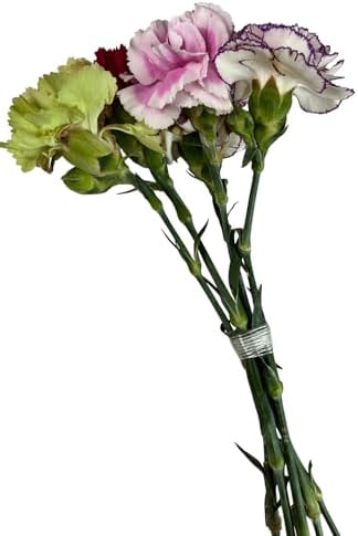 4 Rolls Clear Floral Fiberglass Tape, 1/4" Flower Arrangement Tape for Bouquet Stem Binding, Wedding Florist Craft Supplies (4, 1/4 in)