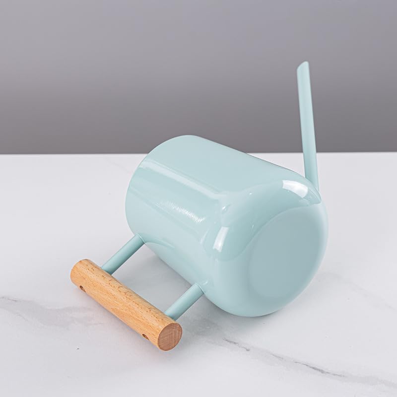 Watering Can Indoor Plants, 30oz/900ml Small Plant Watering Can with Long Spout, Stainless Steel Garden Watering Cans
