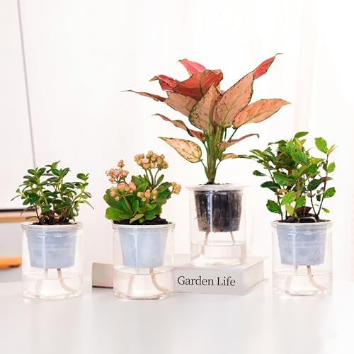 ORIMERC 300 feet 1/5 inch Self Watering Capillary Wick Cord Vacation Plant Sitter DIY Hydroponic Wicking Rope Seeds Start Planter Pot Automatic Potted Flower Passive Lazy Waterer String System Device