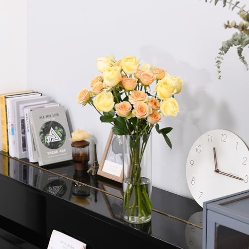 Clear Flower Vase, Non-breakable Vases, 6" W x 16" H, Acrylic Vase, Aesthetic Room Decor Cylindrical Modern Flower Vases for Table Centerpiece, Home Decor, Women Floral Arrangement Gift