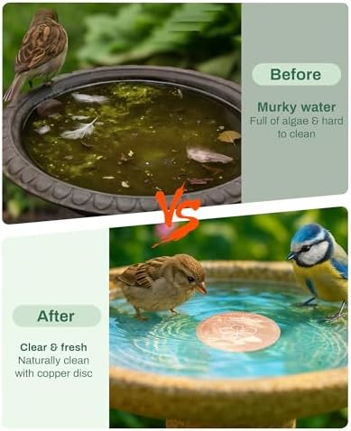 OICEME Bird Bath Purification Disk Pure Copper Outside Winter Solar Power Birdbath Wild Hummingbird Pedestal Fountain Cleaner Humming Feeder Cage Dispenser Heater Ground Safe Garden Lover Women Gift