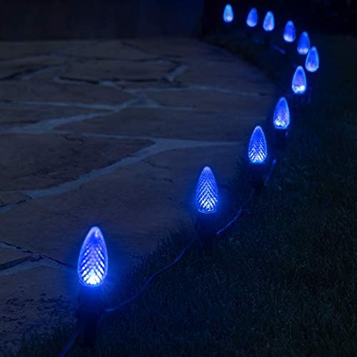 Wintergreen Lighting 50' OptiCore LED C9 Blue Pathway Christmas Lights, Heavy Duty Bulbs for Driveway, Walkway Marker, 5" Commercial PathPRO Stakes, 18 Gauge Green Wire