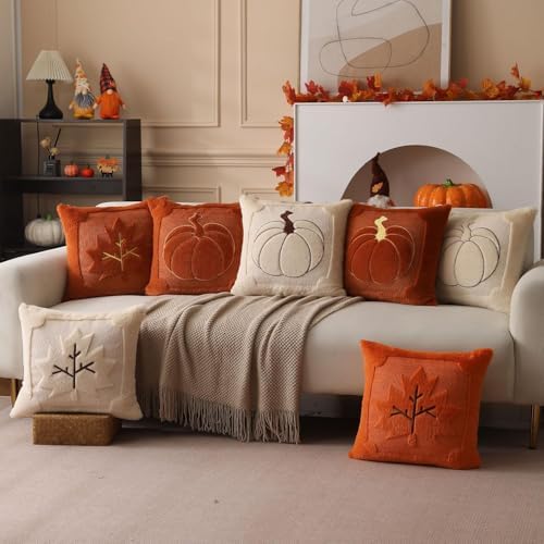 Allorry Fall Pillow Covers 24x24 2 Pack Beige Pumpkin Home Decor PT010A24