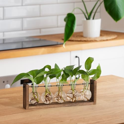 YIBOT Wall Hanging Glass Planter Plant Propagation Vase-5 Bulb Glass Vases