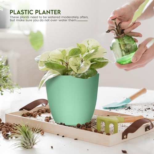 Plant Pots Indoor with Drainage, 10 Pack Multi-Size Planters Set, Mint