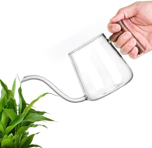 Watering Can Indoor Plants, 27 OZ Glass Watering Can, Long Curved Spout