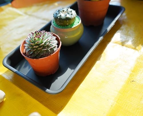 VUWEZ 2 Pack Plastic Plant Saucer, Rectangular, Indoors Outdoor, Drip Tray for Flower Pot, Windowsill (6 X 11 Inch, Black)