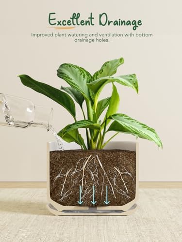 LE TAUCI 8 Inch Plant Pot, Ceramic Pots for Plants, Forest Green