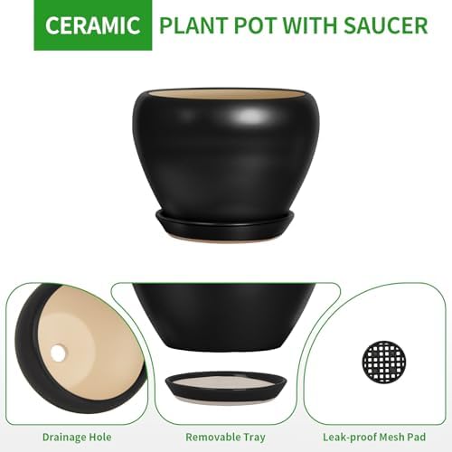 Deep Dream 8 Inch Plant Pot - Ceramic Pots for Plants with Drainage Hole and Trays, Modern Round Flower Pot, Planters for Indoor Outdoor Plants, Home Garden Decor, Black