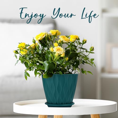 YNNICO 6 inch Plant Pots, 5 Pack Flower Pots Outdoor Indoor, Planters with Drainage Hole and Tray Saucer(Blue