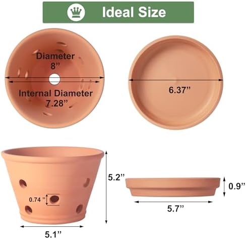 8 inch Terracotta Orchid Pots with Holes and Saucers, 2 Pack Clay Orchid Planter Pots for Repotting, Large Terra Cotta Orchid Pot, Plant Flower Pots for Orchid Indoor Outdoor Promotes Air Circulation