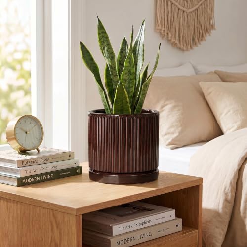 Ceramic Plant Pots, 6 Inch Pots for Plants, Round Planter, Brown