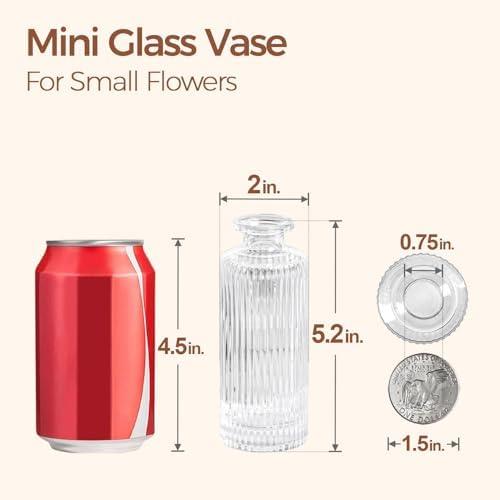 ComSaf Glass Small Bud Vases in Bulk 6 Pcs 5.2 Inch, Clear Flower Vases