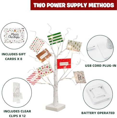 EAMBRITE Christmas Tree with Gift Cards, Money Tree Gift Holder 2 FT 24 LED