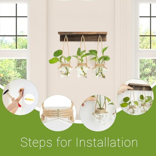 XXXFLOWER Wall Hanging Propagation Station with 3 Star-Shaped Glass Vase