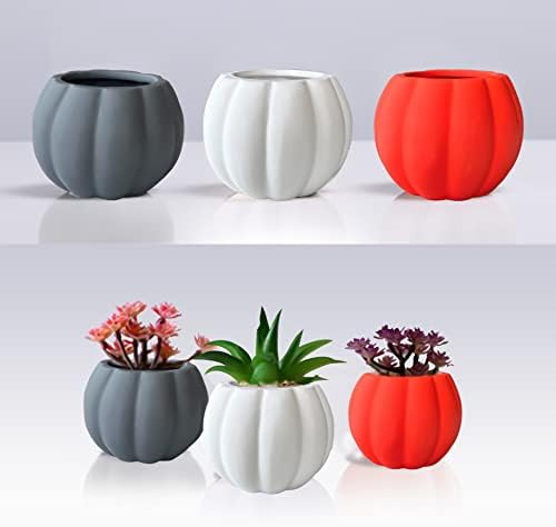 Set of 3 Ceramic Miniature Pumpkin Succulent Pots with Drainage Hole3x4x2.3