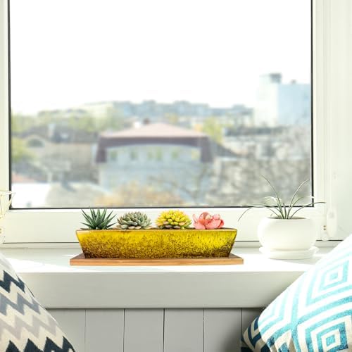 ARTKETTY Succulent Pots, 9.8 Inch Ceramic Succulent Planters with Drainage