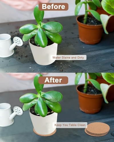 6 Inch Cork Plant Coasters, 6 Pack Round Plant Mats for Indoor Flower Pots