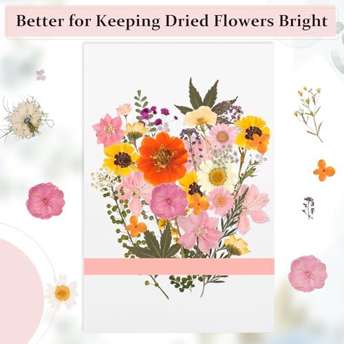 Aboofx 100 Sheets Blotting Paper for Flower Press