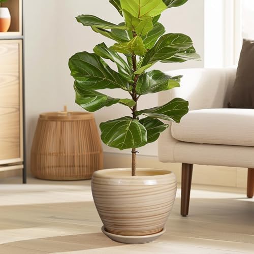 Ceramicfor Planter Pot 8 Inch, Ceramic Pot for Plants, Yellow