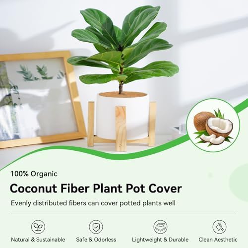 ZeeDix 9 Inch Coconut Fiber Tree Ring Mulch Mat, 10 Pack Tree Mulch Ring