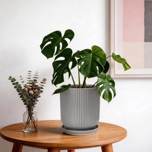 Deep Dream 8 Inch Ceramic Pots for Plants, Heavy Plant Pot for Indoor Outdoor Plants, Large Plant Pot with Drainage Hole and Saucer, Modern Tall Flower Pot, Gifts for Plant Lovers, Grey