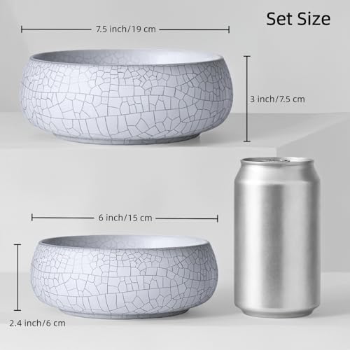 Lotus Bowl Planter 2 Pack, 7.5in & 6.5in, Shallow Vase