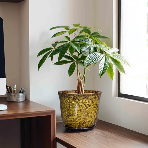 Ceramic Planter, 8 Inch Plant Pot for Indoor Plants, Yellow