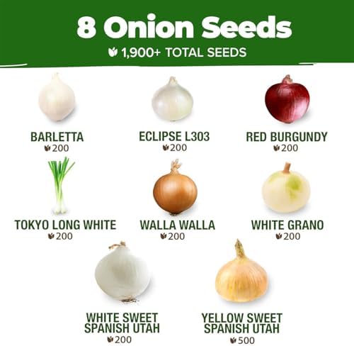 HOME GROWN 8 Onion Variety Mix 1600+ Heirloom Non-GMO Seeds for Planting, High Germination, Red, Yellow, White, Sweet Vidalia & Spanish Bulb Onions, Green Scallions,Indoor Outdoor Garden (Allium cepa)