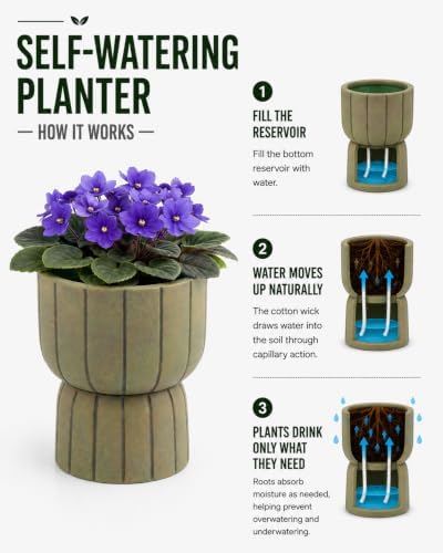 Self Watering Pots for Indoor Plants, 6 Inch Ceramic African Violet Pot