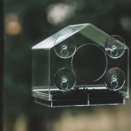 Backyard Expressions Clear Window Bird Feeder with Large Viewing Hole, Divided Tray & Heavy-Duty Suction Cups, Acrylic Window Feeder for Indoor Bird Watching
