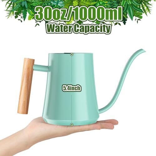 Green Moon 1L/35oz Metal Watering Can Indoor with Long Spout, Mint Green