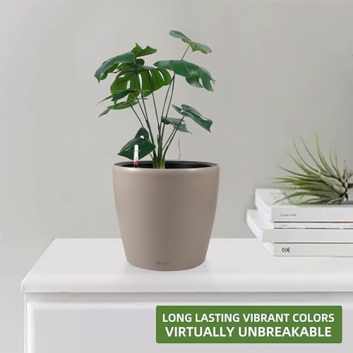 Dexceder 11x10 Self Watering Planter (Taupe Matte)