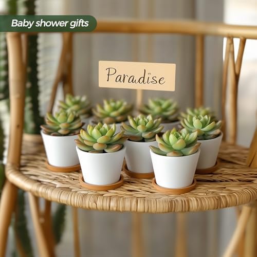 T4U Small Succulent Pots 12 Pack, Mini Flower Planters with Drainage White
