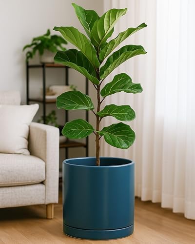 D'vine Dev 12 Inch Ceramic Planter Pot, Teal, 94-O-F-9