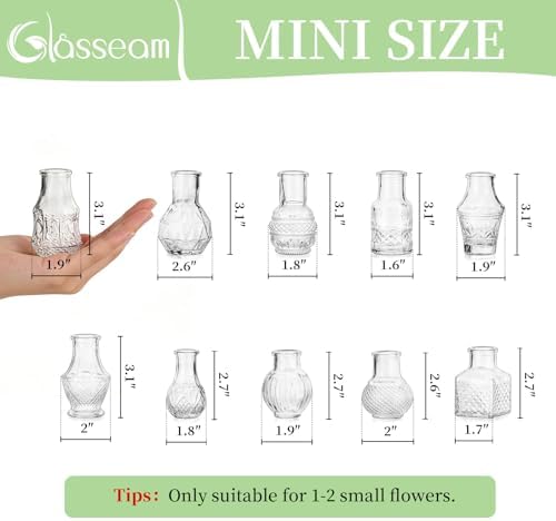 Glasseam Mini Bud Vases for Centerpieces: 20Pcs Clear Glass Vases in Bulk