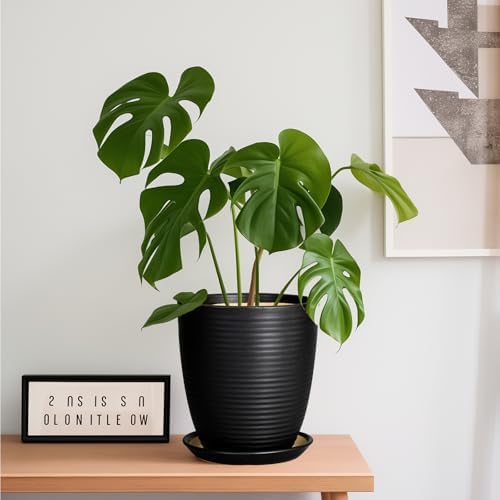Ceramic Plant Pot - 8 Inch Ceramic Planter for Indoor Plants Glazed Round Flower Pot with Drainage Hole and Saucer Black