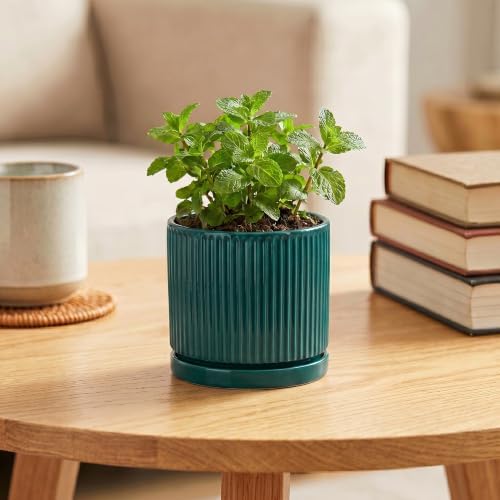 4 Inch Ceramic Pots for Plants, Plant Pots with Tray, Blackish Green