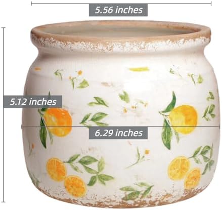 Lemon Ceramic Planter, Italian Mediterranean Flower Pot for Indoor Plants