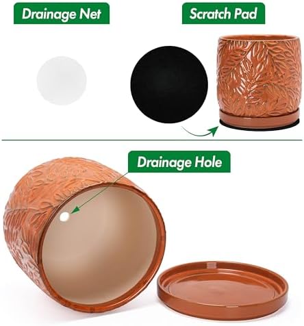D'vine Dev Embossed Leaves Ceramic Planter, 8 in, Pumpkin, 27-A-Q-J