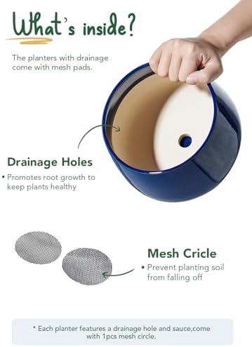 LE TAUCI Plant Pots, 4.1+5.1+6.5 inch, Set of 3, Ceramic Planters with Drainage Hole and Saucer, Indoor Flower Pot with Hole Mesh Pad, Gifts for Mom, Sapphire Blue
