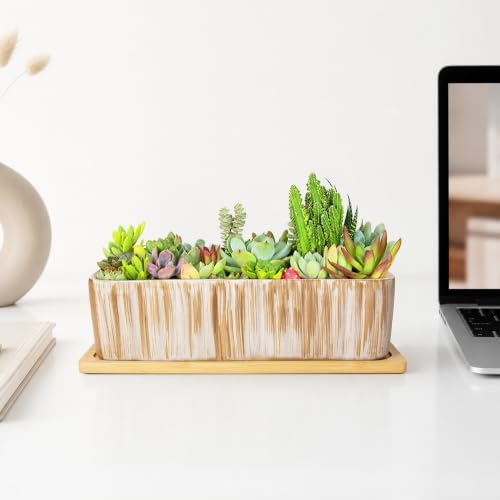Succulent Pots, 12'' Long Rectangle Planters with Tray, Windowsill Planter